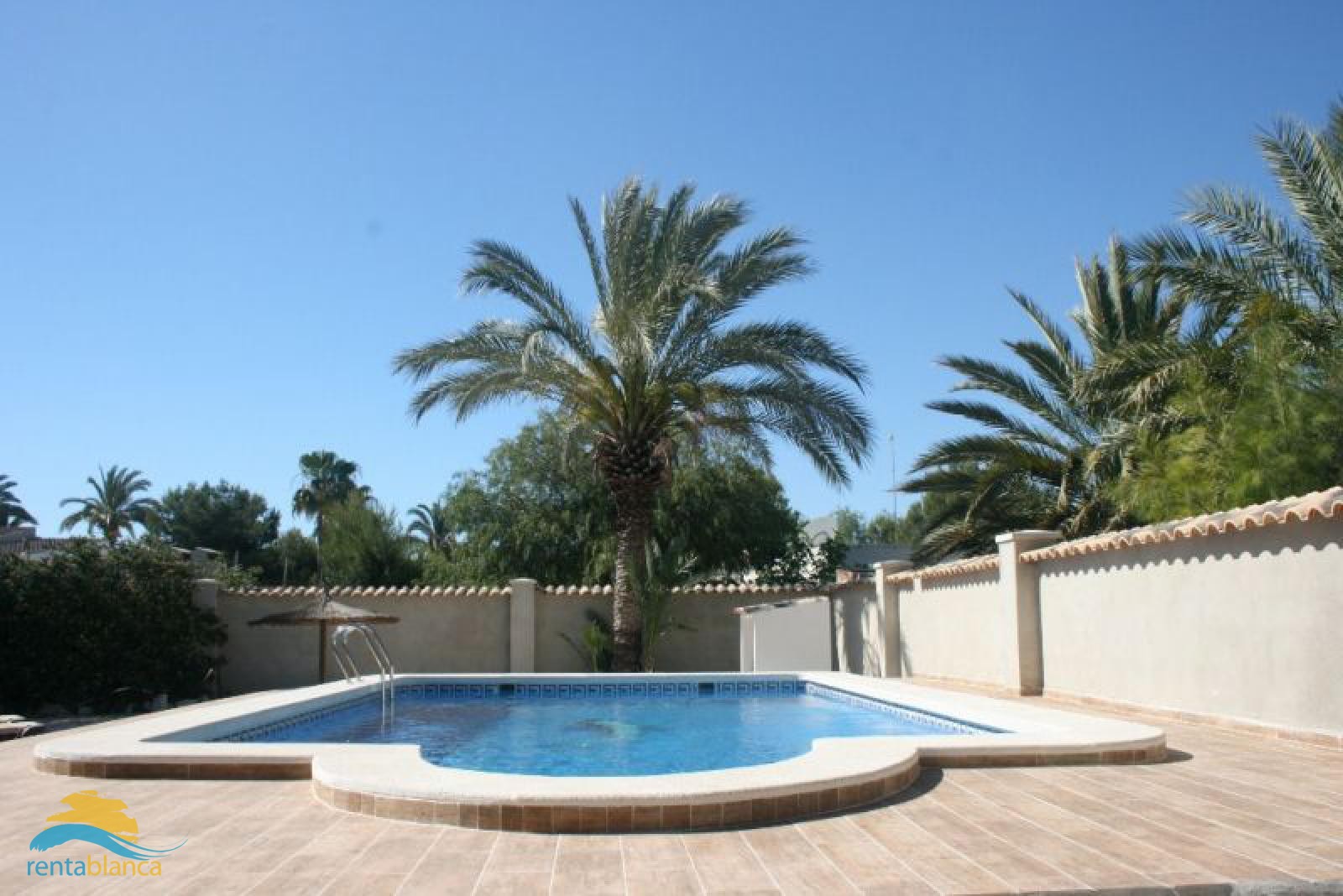 Finca villa Elche - Rentablanca