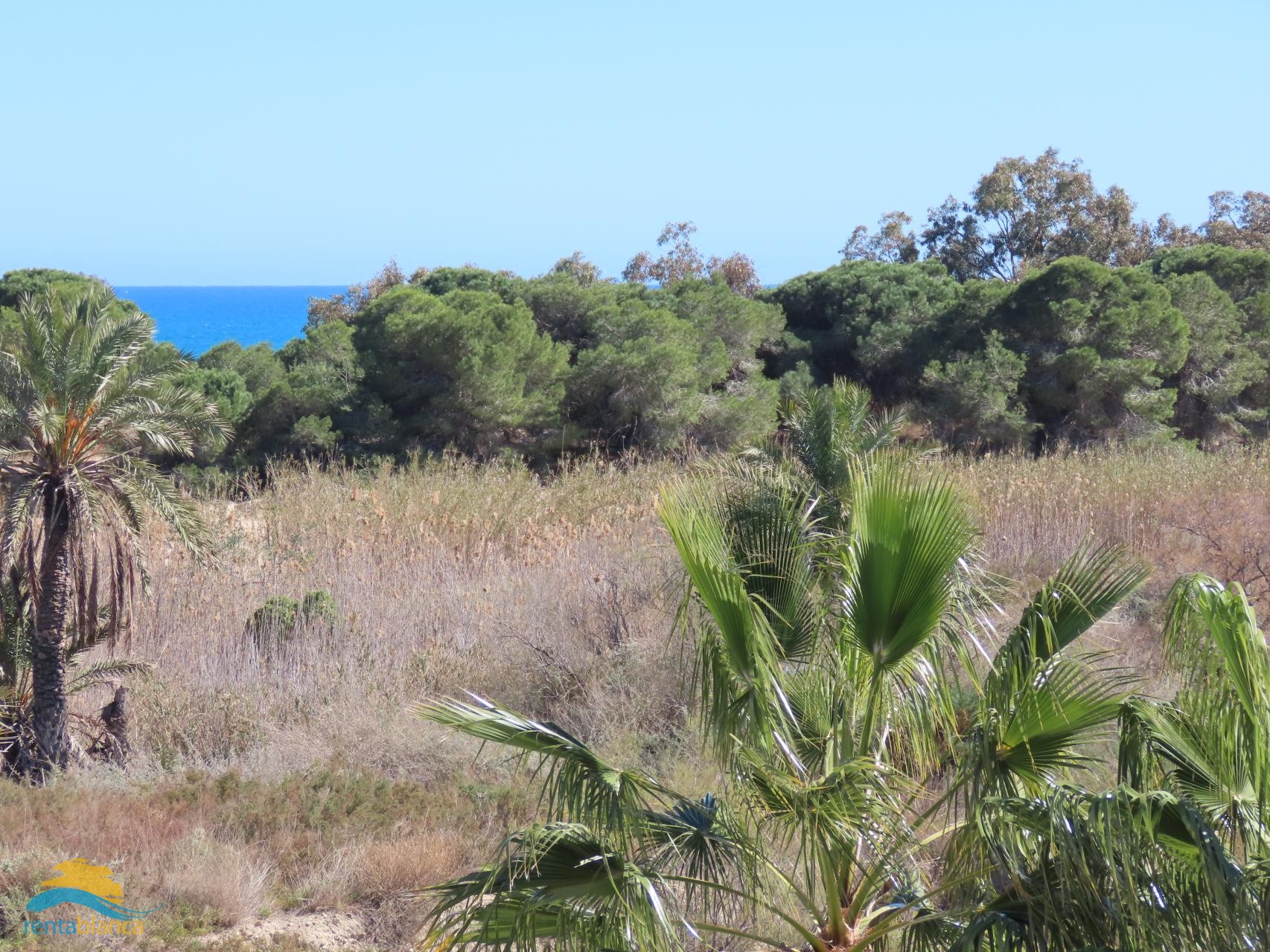 Strand villa El Pinet  - Rentablanca